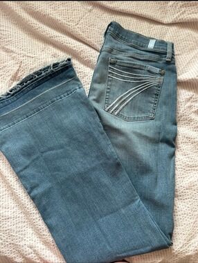 7 For All Mankind Dojo Jeans